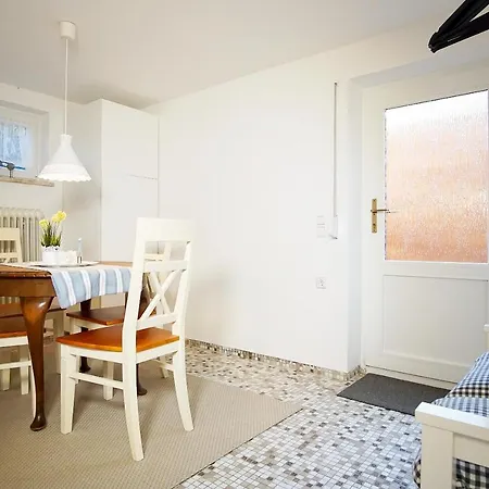 Kleiner Strandlaeufer