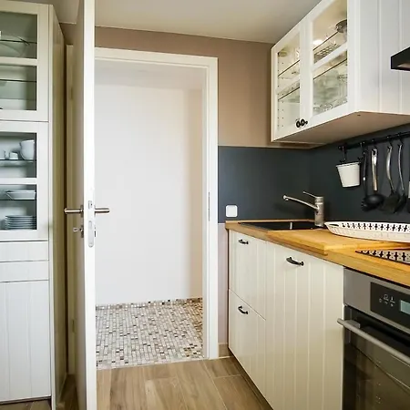 Kleiner Strandlaeufer