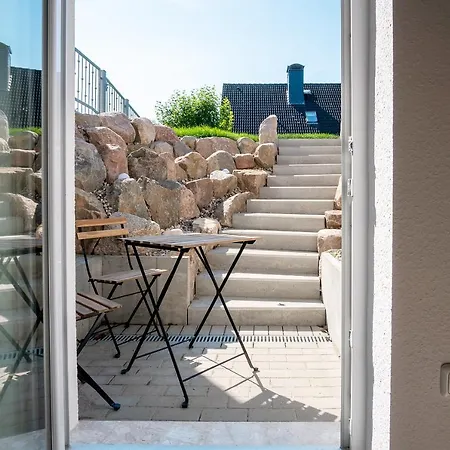 Kleiner Strandlaeufer * Großenbrode