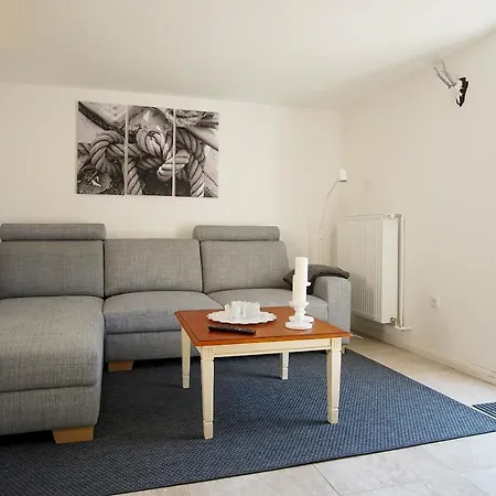 Kleiner Strandlaeufer