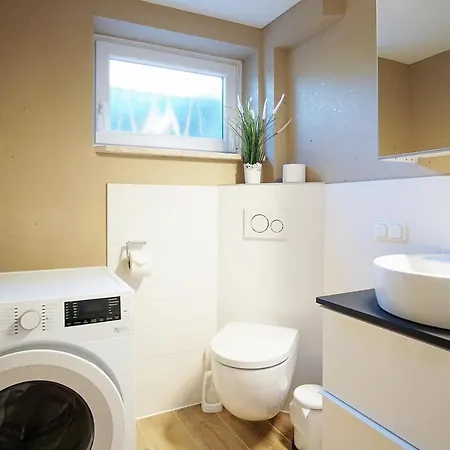 Kleiner Strandlaeufer