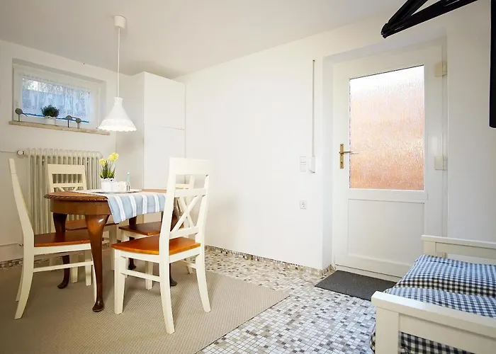 Kleiner Strandlaeufer