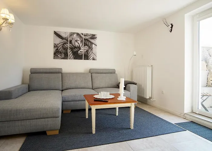 Kleiner Strandlaeufer