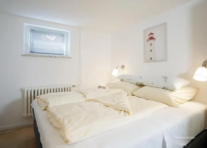 Kleiner Strandlaeufer *