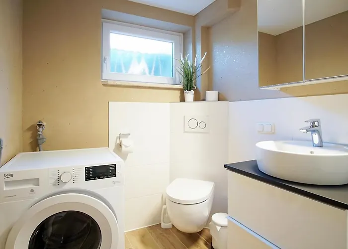 Kleiner Strandlaeufer